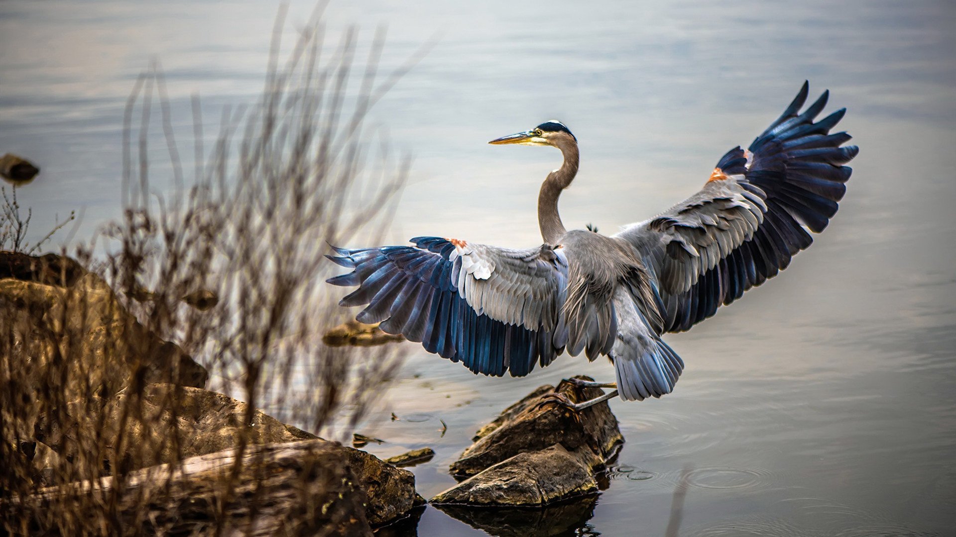 山林穿越极限跑,感受大自然的狂野魅力,山林越野车视频大全视频爬山