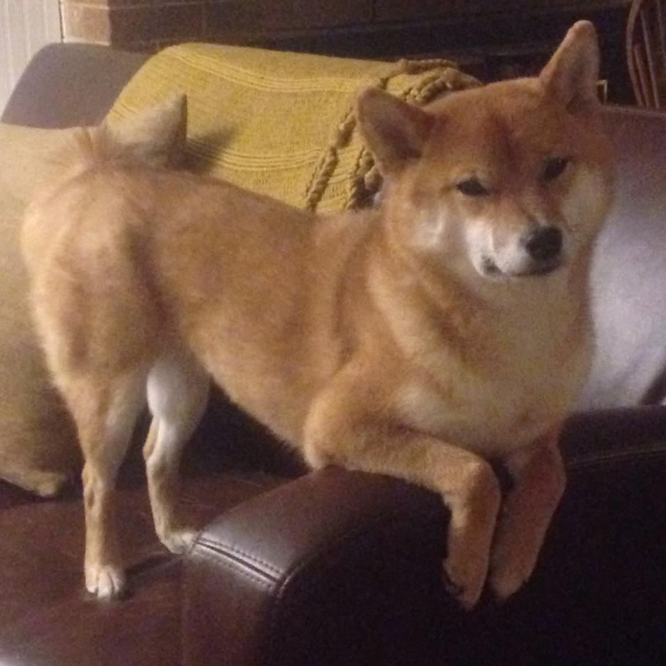 山野术士跑，迷宫探险与挑战极限