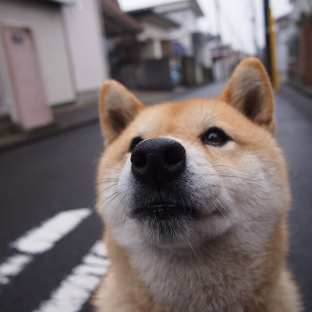 爱游戏app-意甲球队打造“年轻化”阵容，实现长远发展，意甲 球员