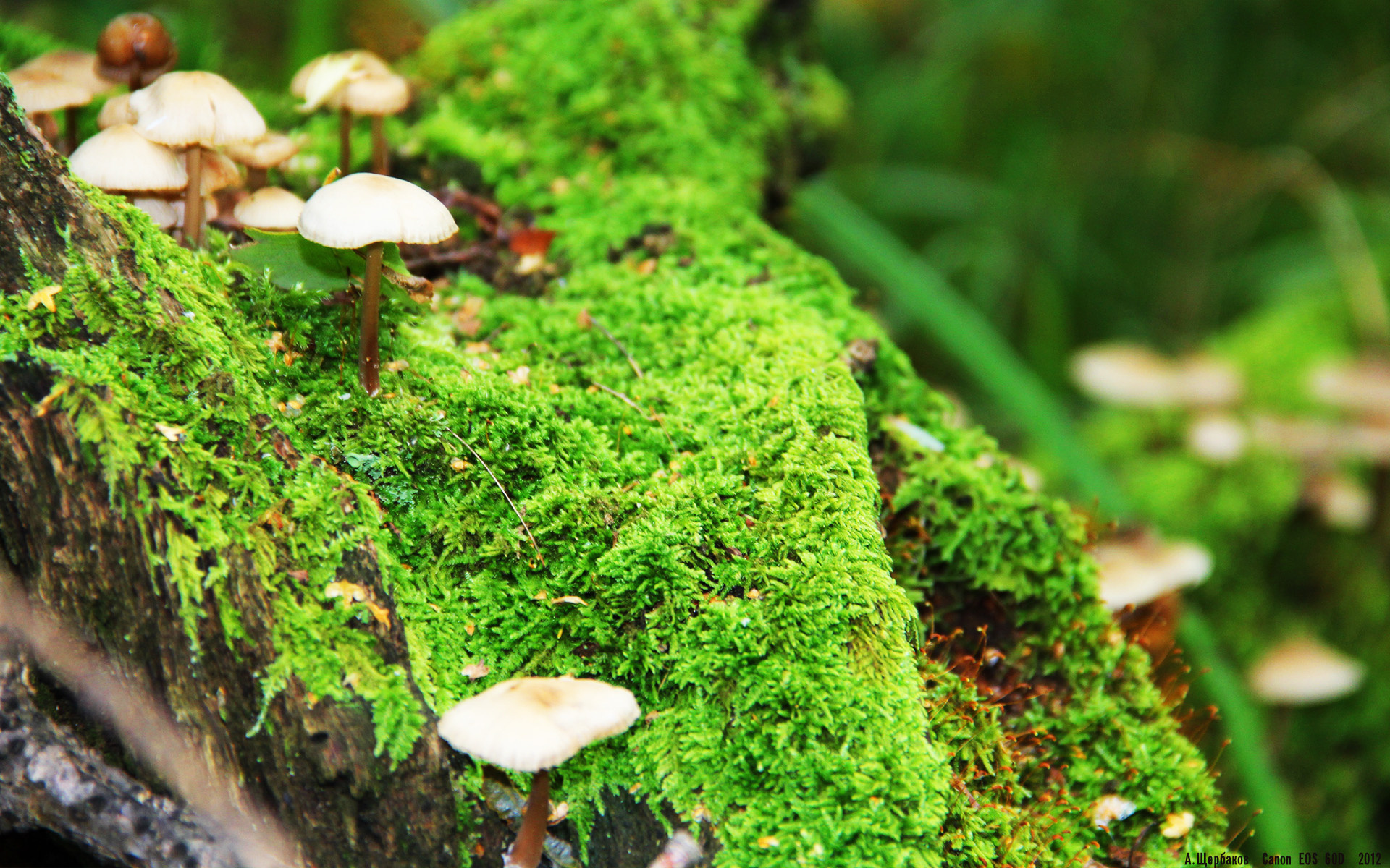 奥斯汀马刺重视年轻球员培养,马刺2020年选秀应该选淮