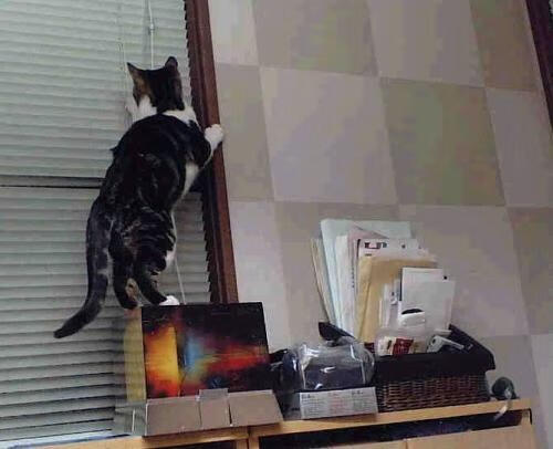 巴塞罗那遭遇突袭,陷入欧冠困境,巴塞罗那足球俱乐部欧冠