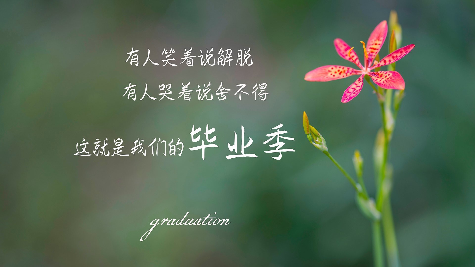 爱游戏娱乐平台-比分悬念迭起！多场比赛战罢，赛场争议不休，比分啥意思