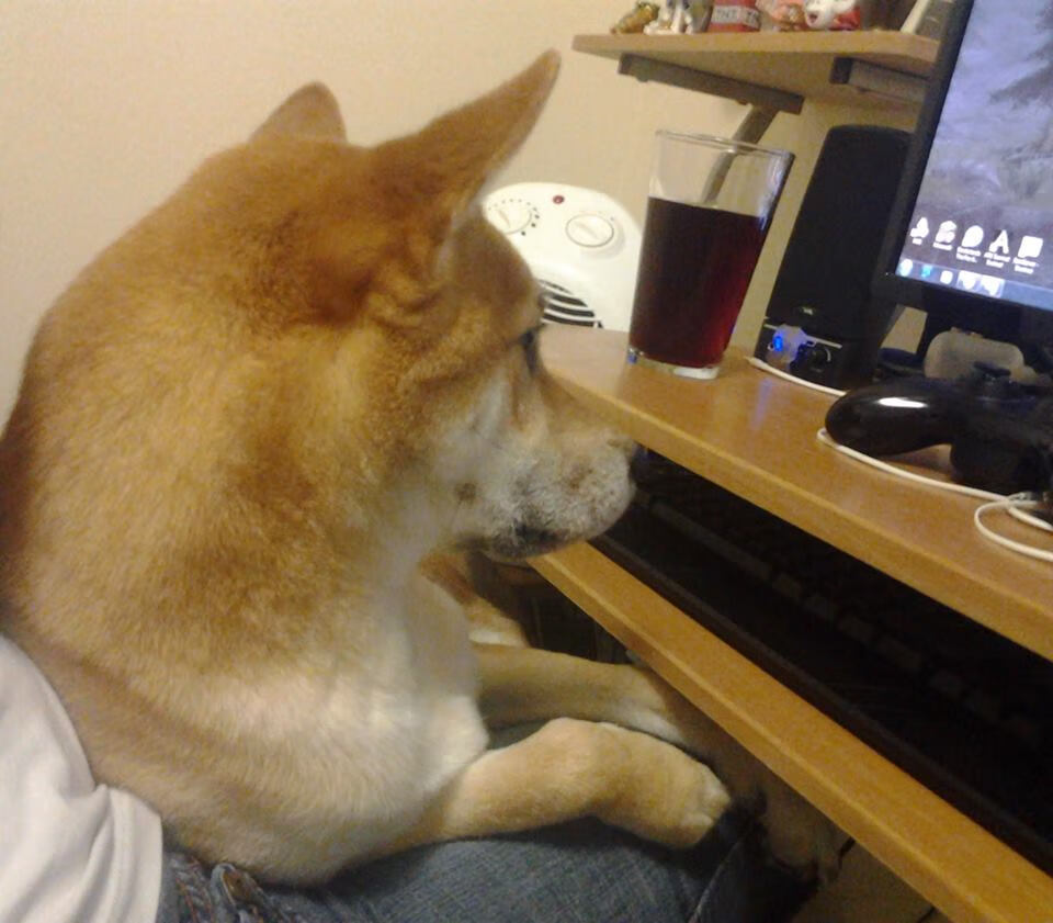 活塞再负战绩陷入泥潭,活塞比赛