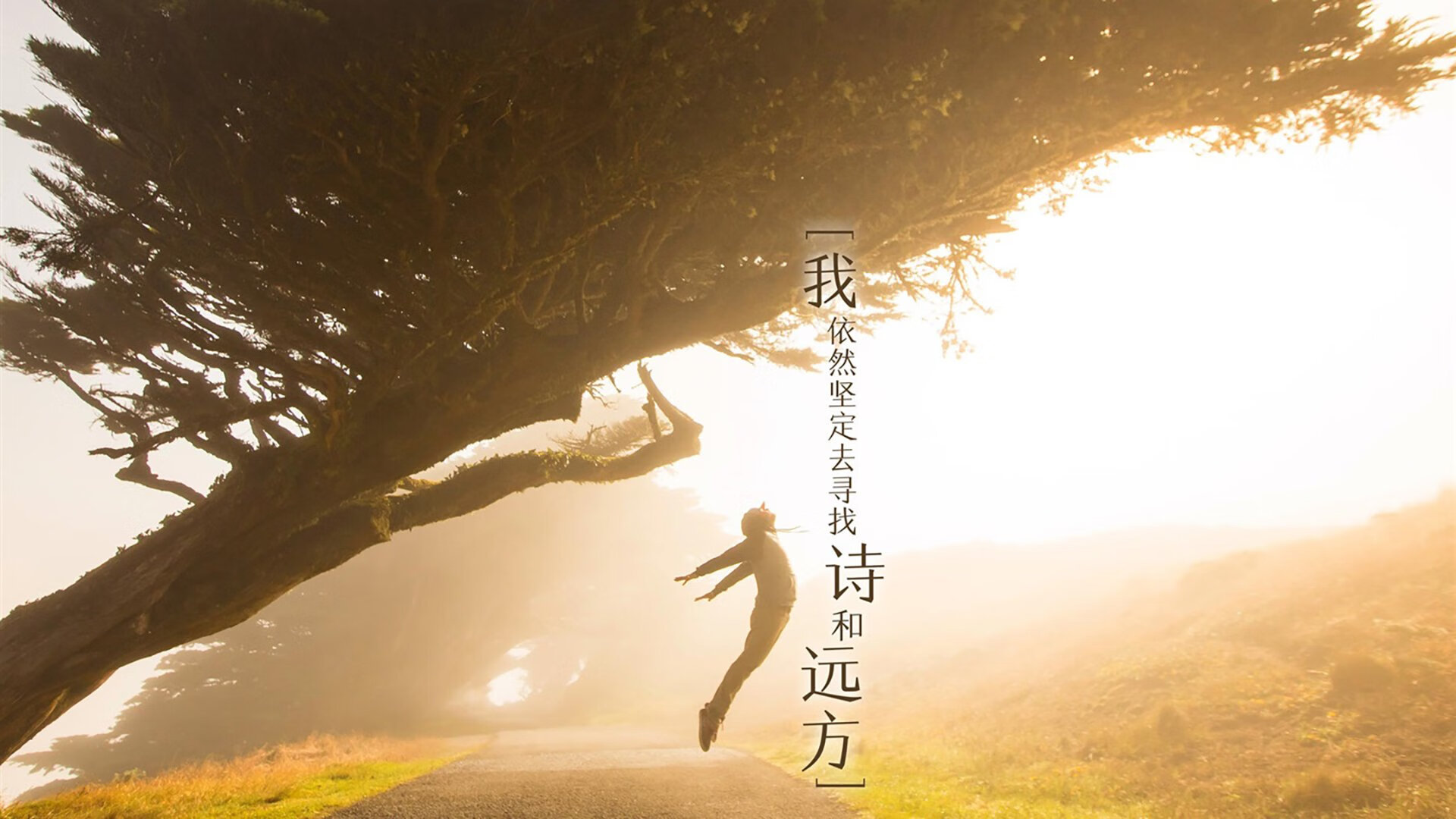 电竞赛事安全保障，电竞体育赛安保方案