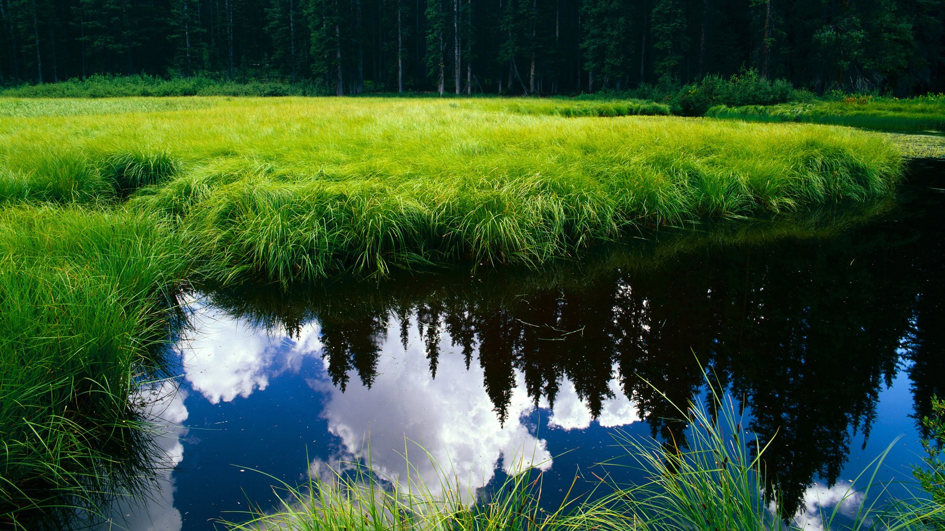 世界青少年短跑锦标赛中国选手再创新高,世界短跑比赛