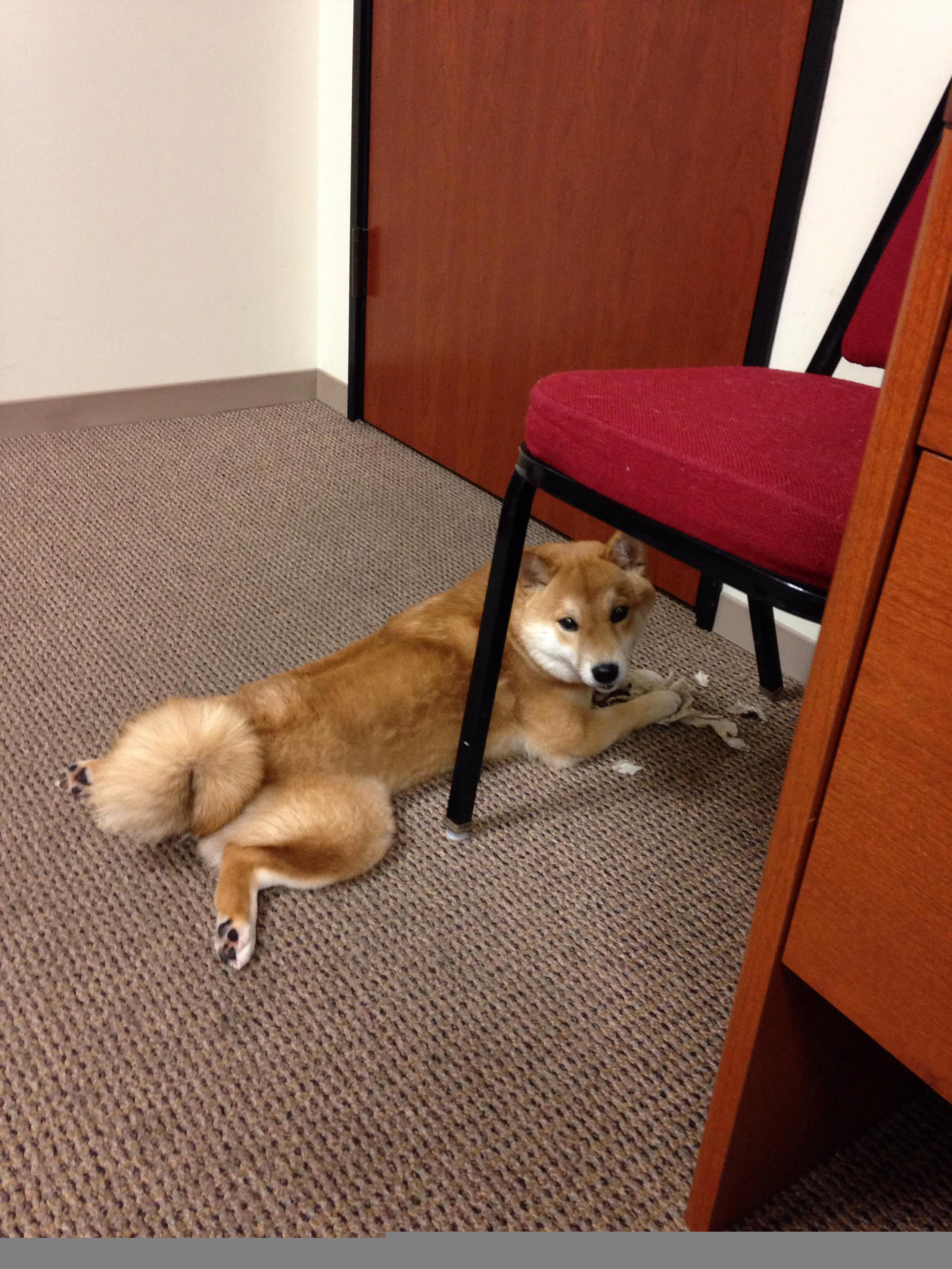 中国足球边后卫助攻落点分布数据分析,边后卫助攻后谁来补位