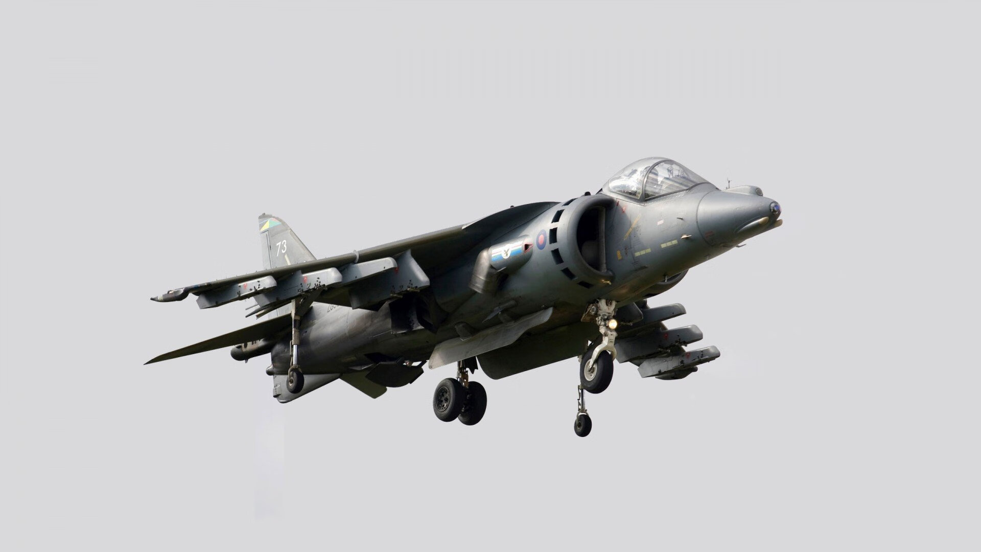 现场直击：赛场中的感人瞬间与球迷热情，足球赛场上的感人瞬间