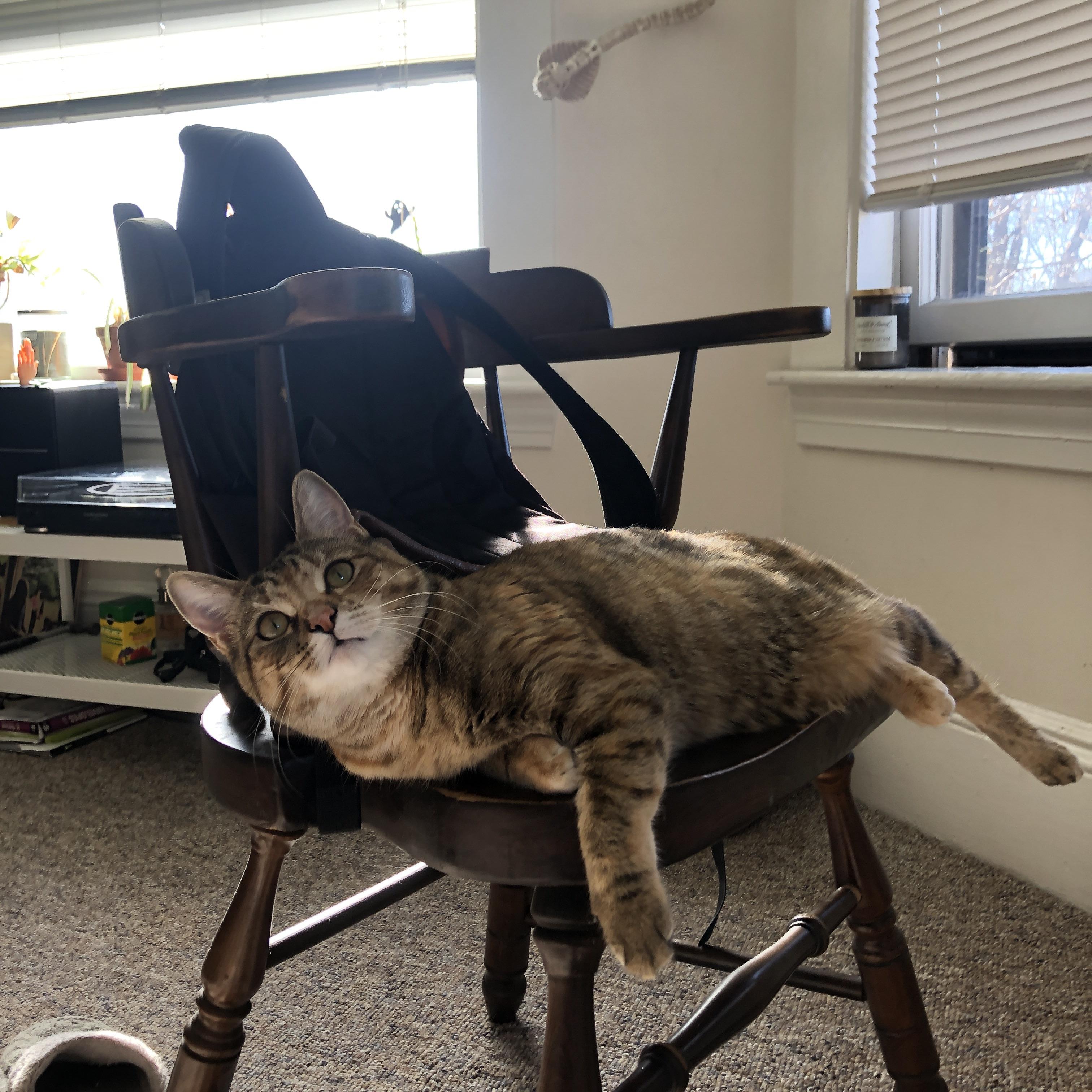 爱游戏电竞官网-羽毛球世锦赛国羽包揽三冠，羽毛球世锦赛冠军榜