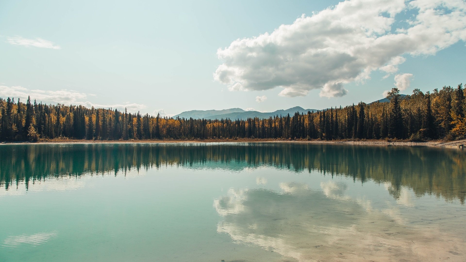 埃弗顿边路组织传中精度明显提高,埃弗顿阵型