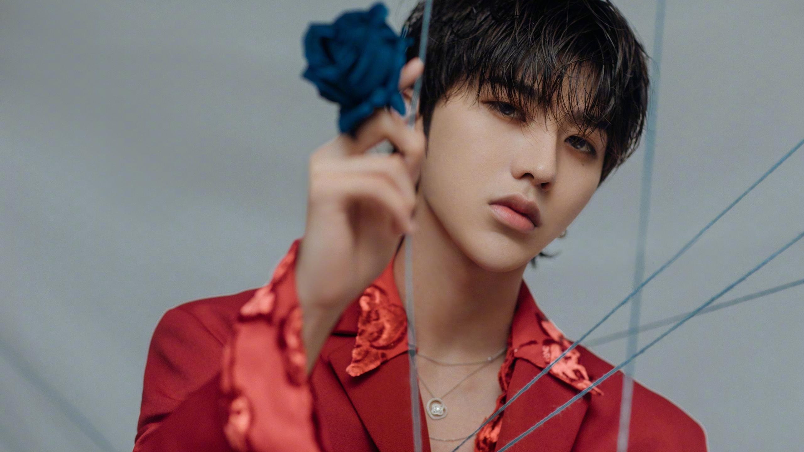 AYX GAME-新西兰橄榄球赛事在全球范围内的转播权价值大增，新西兰橄榄球队徽