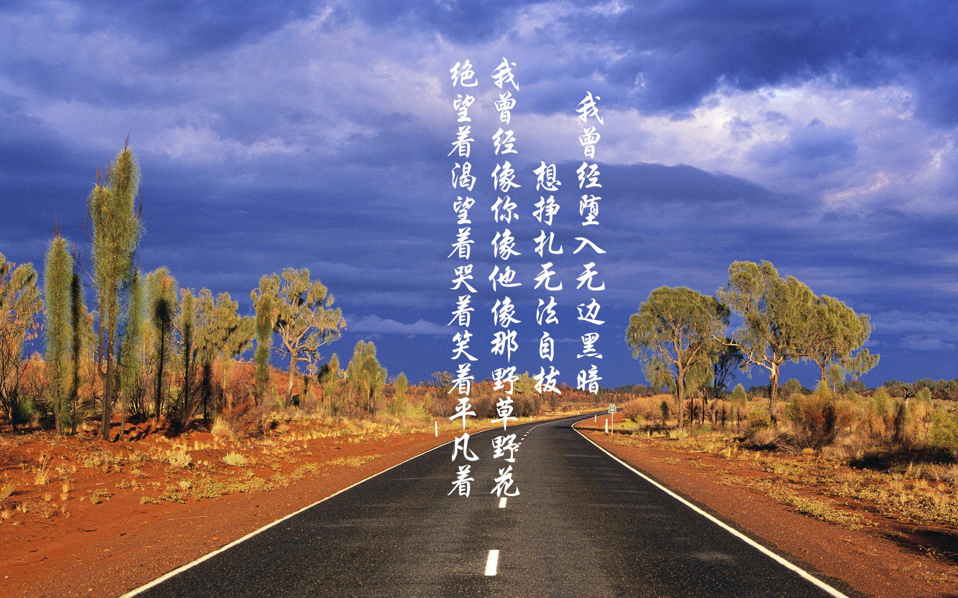 青训营开展多维技能训练提升综合竞技水平