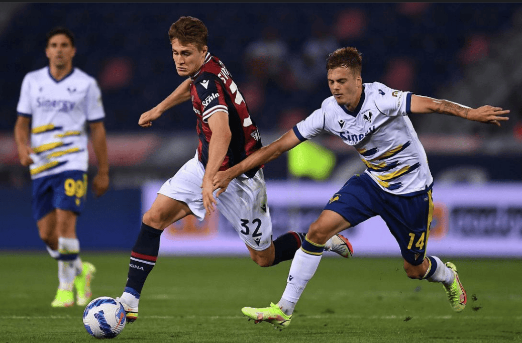 爱游戏体育：意甲维罗纳的进攻风格与战术演变的简单介绍