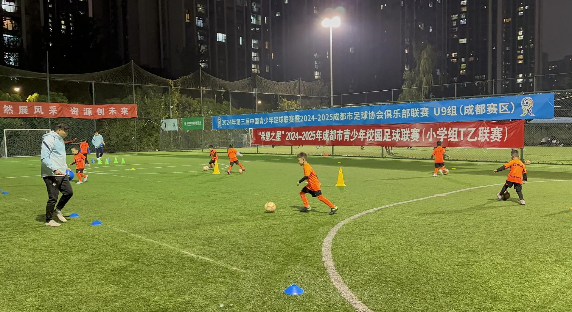 爱游戏登录入口-包含爱游戏体育:意甲的改革之路：如何面对现代足球的挑战的词条